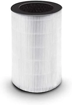 HoMedics TotalClean, 360 Degree Hepa Air Purifier Replacement Filter With Activated Carbon To Remove 99% Of Airborn Contaminants. For HoMedics Air Purifier Models AP-T10-BK And AP-T10-WT -Solo Stoves Shop 319QDEz9QxL. AC
