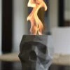 Colsen Tabletop Rubbing Alcohol Fireplace Indoor Outdoor Fire Pit Portable Fire Concrete Bowl Pot Fireplace (Skull) (Gray)