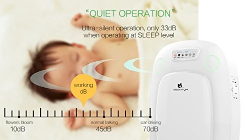 Green Air Elite HEPA And Odor Fighting Filter Air Purifier With IonCluster Technology For Large Rooms, HEPA, Carbon, And Charcoal Filter For Allergies, Pets, Odors, Mold, Dust, Germs, Smoke, 600 Sq Ft 5 Green Air Elite HEPA And Odor Fighting Filter Air Purifier With IonCluster Technology For Large Rooms, HEPA, Carbon, And Charcoal Filter For Allergies, Pets, Odors, Mold, Dust, Germs, Smoke, 600 Sq Ft - Image 5