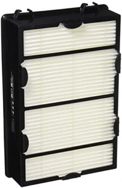 Holmes True HEPA Filter With Enhanced Mold Fighting Power, 2-Pack, White, 2 Count -Solo Stoves Shop 41ApqOWiAZL. AC