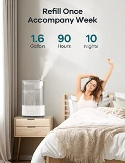 WELOV Air Humidifiers For Bedroom Large Room 5X Faster, 6L BoostMist™ Quiet Ultrasonic Cool Mist Humidifier For Plants/Kids, 90hrs Air Vaporizer With Humidistat, Night Light, Timer, No Leaks -Solo Stoves Shop 41MNozkSyEL
