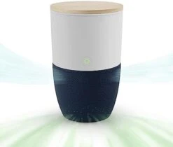 Dupray Bloom™ Air Purifier For Large Rooms With Planter Or Custom Accent Table Design | For Home, Bedroom, Office, Dust, Pets | H13 HEPA Air Filtration (Planter, Cloudy Gray) -Solo Stoves Shop 41NdUeRcwCL. AC
