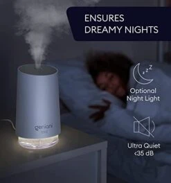 GENIANI Portable Small Cool Mist Humidifiers 250ML - USB Desktop Humidifier For Plants, Office, Car, Baby Room With Auto Shut Off & Night Light - Quiet Mini Humidifier (White) -Solo Stoves Shop 41WgSBTHWeL