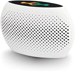 SnapSafe Rechargeable Dehumidifier Large, 75901 - Portable Moisture Absorbers For Gun Safes & Cabinets, Closets, & Pantries-Prevent Moisture Damage For Gun Safe Accessories, Firearms In Your Gun Vault -Solo Stoves Shop 41aZIPv0NYL. AC