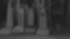 Miele HEPA AirClean Filter With TimeStrip Filter For Miele Vacuum Cleaners -Solo Stoves Shop 41d7Xq9syhL