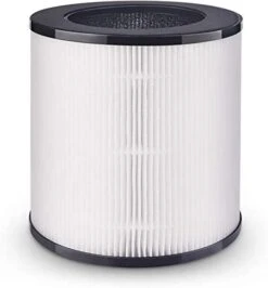 Azeus Air Purifier For Large Rooms (C8 Filter)