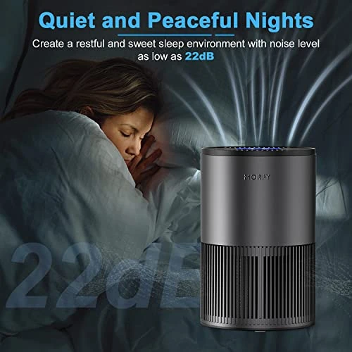 MORFY Air Purifiers For Bedroom Home With H13 True HEPA Air Filter For Smoke, Dust, Pet Dander, Odors, Pollen, Quiet Air Cleaner(Metallic Black + Gray) 3 MORFY Air Purifiers For Bedroom Home With H13 True HEPA Air Filter For Smoke, Dust, Pet Dander, Odors, Pollen, Quiet Air Cleaner(Metallic Black + Gray) - Image 3