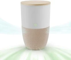 Dupray Bloom™ Air Purifier For Large Rooms With Planter Or Custom Accent Table Design | For Home, Bedroom, Office, Dust, Pets | H13 HEPA Air Filtration (Planter, Cloudy Gray) -Solo Stoves Shop 41m0bNE400L. AC