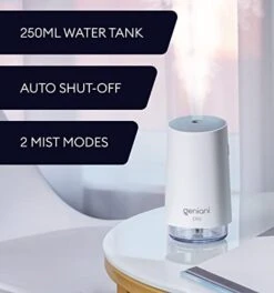 GENIANI Portable Small Cool Mist Humidifiers 250ML - USB Desktop Humidifier For Plants, Office, Car, Baby Room With Auto Shut Off & Night Light - Quiet Mini Humidifier (White)