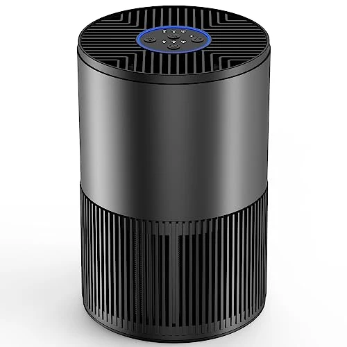 MORFY Air Purifiers For Bedroom Home With H13 True HEPA Air Filter For Smoke, Dust, Pet Dander, Odors, Pollen, Quiet Air Cleaner(Metallic Black + Gray) 1 MORFY Air Purifiers For Bedroom Home With H13 True HEPA Air Filter For Smoke, Dust, Pet Dander, Odors, Pollen, Quiet Air Cleaner(Metallic Black + Gray)