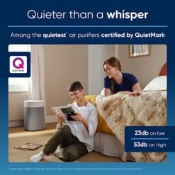 BLUEAIR Air Purifiers For Large Home Room, Air Purifiers For Bedroom, Air Purifiers For Pets Allergies Air Cleaner, Smart Air Purifier Virus Air Purifier For Dust Mold Smoke Odor Pollen Blue 211i Max -Solo Stoves Shop 518fdUbVAYL