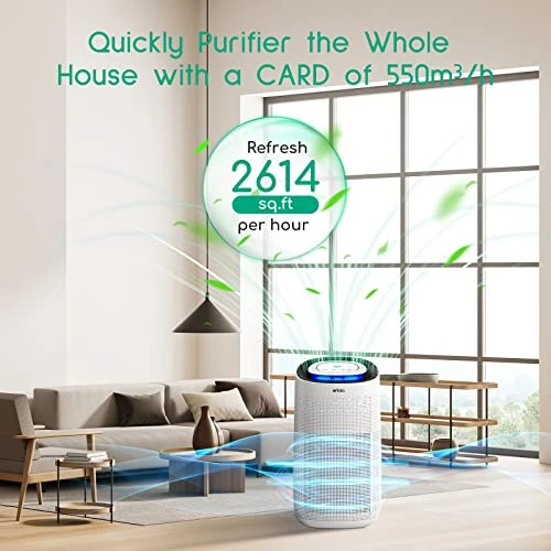 Afloia Air Purifiers For Home Large Room Up To 2,615 Ft², H13 True HEPA Filter With Air Quality Sensor Auto Smart Air Cleaner Removes 99.97% Of Allergies, Pollen, Pet Dander, Dust, Smoke, Odor 2 Afloia Air Purifiers For Home Large Room Up To 2,615 Ft², H13 True HEPA Filter With Air Quality Sensor Auto Smart Air Cleaner Removes 99.97% Of Allergies, Pollen, Pet Dander, Dust, Smoke, Odor - Image 2
