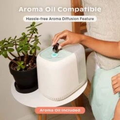 Canopy Bedside Humidifier, White Humidifier, 36 HR Run Time, 2.5L Capacity - Help Alleviate Symptoms Of Allergies, Flu, Cold, Dry Skin Includes Humidifier, Unwind Aroma, Filter, Power Cord & Adapter -Solo Stoves Shop 51CvZbYIQxL