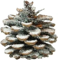 Plow & Hearth Fireplace Color Changing Pine Cones Wood Burning Accessories -Solo Stoves Shop 51ETho0gL. AC