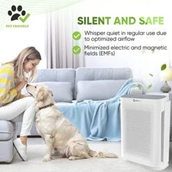 InvisiClean Aura II Air Purifier For Home Allergies & Pets | 4-in-1 H13 True HEPA Filter/Ionizer/Carbon + UV Light | Portable Air Purifiers For Large Room & Bedroom Odor Elimination -Solo Stoves Shop 51Fgmo3EvGL