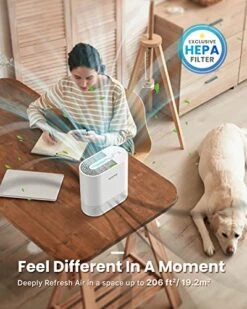 RENPHO Air Purifiers For Bedroom, HEPA Filter Air Purifiers With 22dB Quiet 4 Speed Control For Allergies, Pets, Smoke, Dust, Pollen, Small Air Cleaner For Home Office Living Room Kitchen, White 12 RENPHO Air Purifiers For Bedroom, HEPA Filter Air Purifiers With 22dB Quiet 4 Speed Control For Allergies, Pets, Smoke, Dust, Pollen, Small Air Cleaner For Home Office Living Room Kitchen, White -Solo Stoves Shop 51IPnsvWVlL