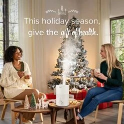 LEVOIT Cool Mist Humidifiers And 10 Pack Replacement Filter -Solo Stoves Shop 51LnYI7yi2L