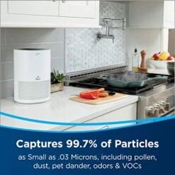 Bissell (2801 MYair Personal Air Purifier Replacement Filter, 1 Count (Pack Of 1) -Solo Stoves Shop 51s8V2hWsjL